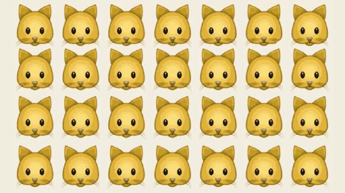 A imagem exibe várias cabeças de gatos. Encontre qual delas é a mais diferente, indicando o ratinho escondido entre elas. Teste de percepção com várias cabeças de gatos, destacando-se um detalhe sutil que diferencia um deles.