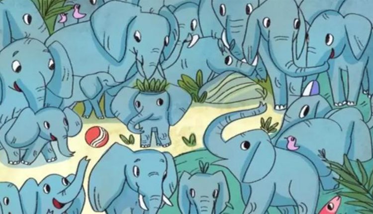 Teste visual com uma ilustração de vários elefantes azuis com pequenos animais escondidos entre eles.