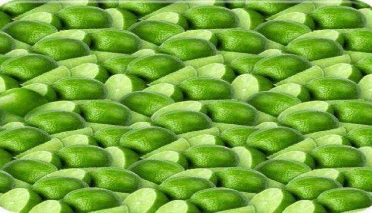 Teste de QI com vários limões verdes cortados ao meio e uma maçã camuflada entre eles.