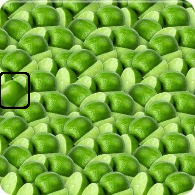 Teste de QI com vários limões verdes cortados ao meio e uma maçã camuflada entre eles.