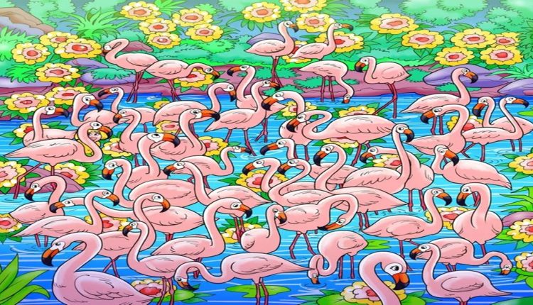 Ilustração de um grupo de flamingos cor-de-rosa em um lago cercado por flores amarelas. O teste visual é encontrar a menina escondida entre os pássaros