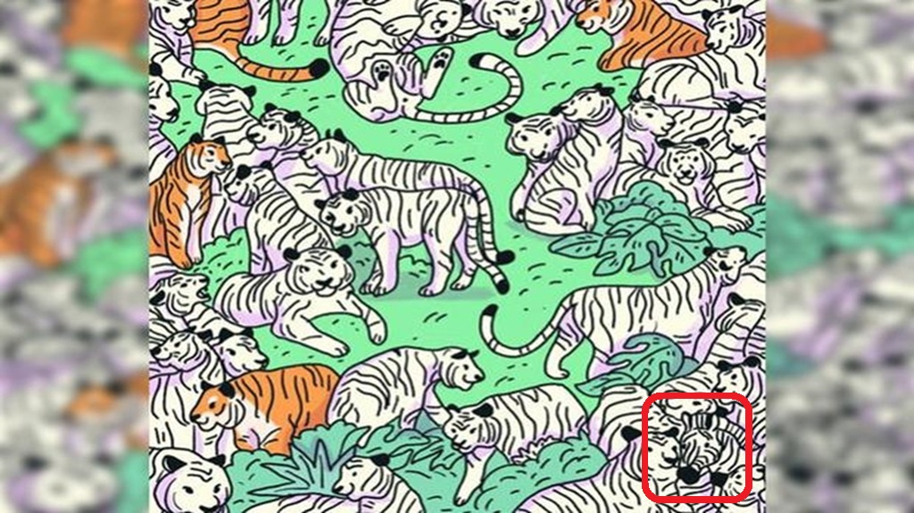 Solução do teste visual com uma ilustração com tigres brancos e laranjas espalhados em um ambiente verde, onde uma zebra está escondida entre eles