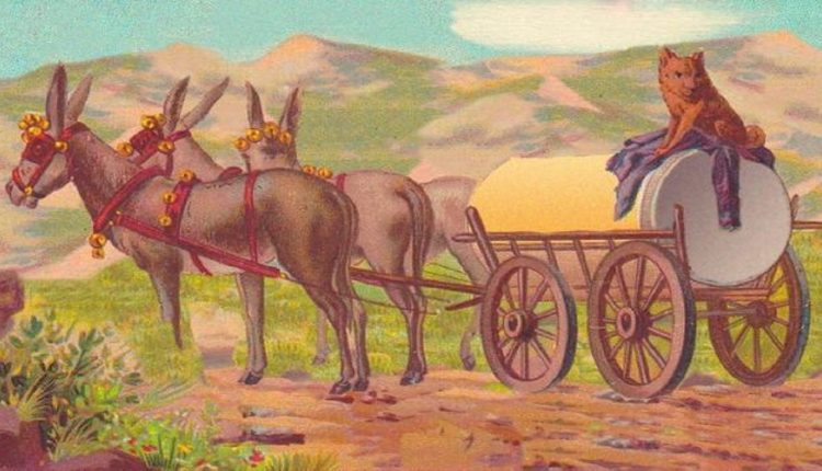 Teste visual com uma imagem de um cachorro sobre tambor em carroça puxada por burros em cenário de montanhas