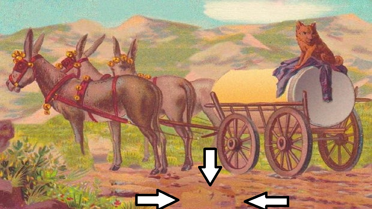 Teste visual com uma imagem de um cachorro sobre tambor em carroça puxada por burros em cenário de montanhas