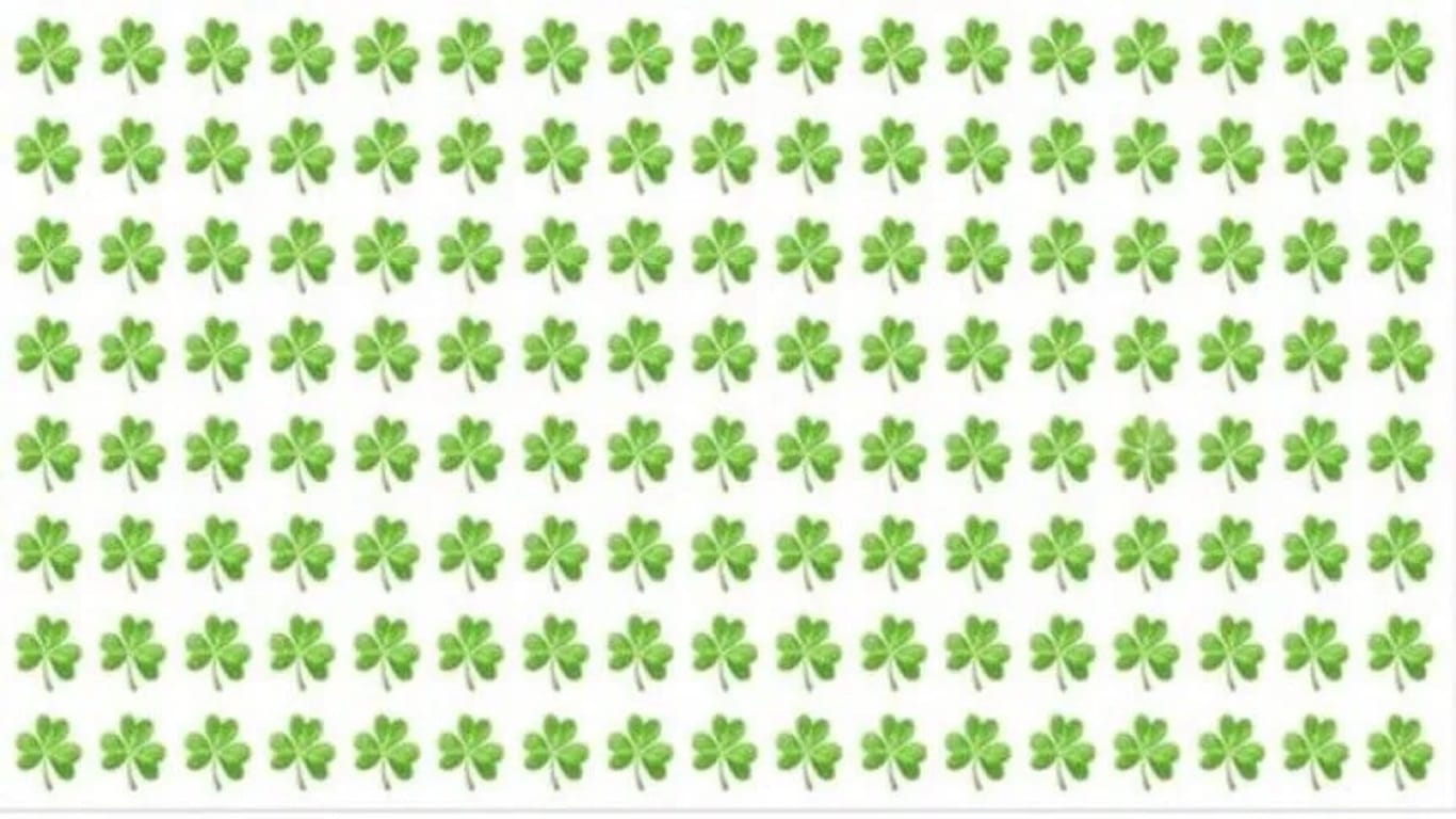 Teste visual com trevos verdes: encontre o de quatro folhas