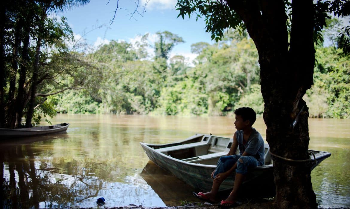 Menino sentado em barco ribeirinho sob a sombra de uma árvore, próximo a rio na floresta amazônica.