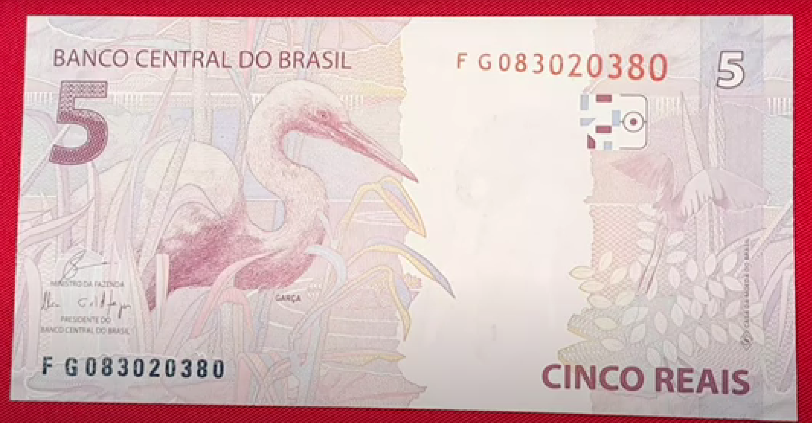 Cédula de 5 reais com o desenho de uma garça, parte da série de notas do real, com detalhes em rosa.
