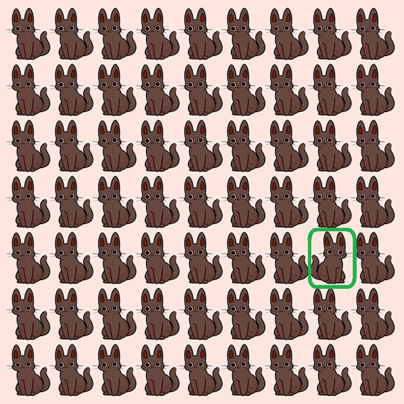 Desafio visual com vários gatos marrons e um intruso diferente escondido