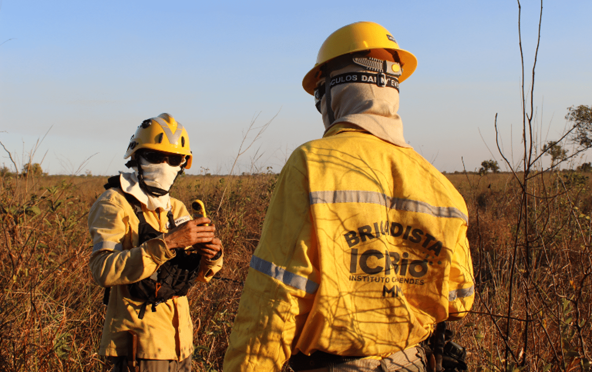 Dois brigadistas do ICMBio em ação no combate a incêndios em área de vegetação.