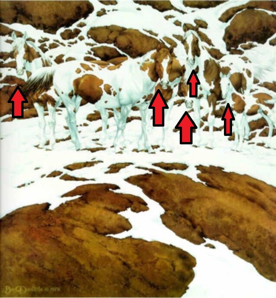 Desafio da percepção com uma imagem de cavalos com pelagem pintada, camuflados em um cenário de rochas e neve, criando um efeito visual intrigante.