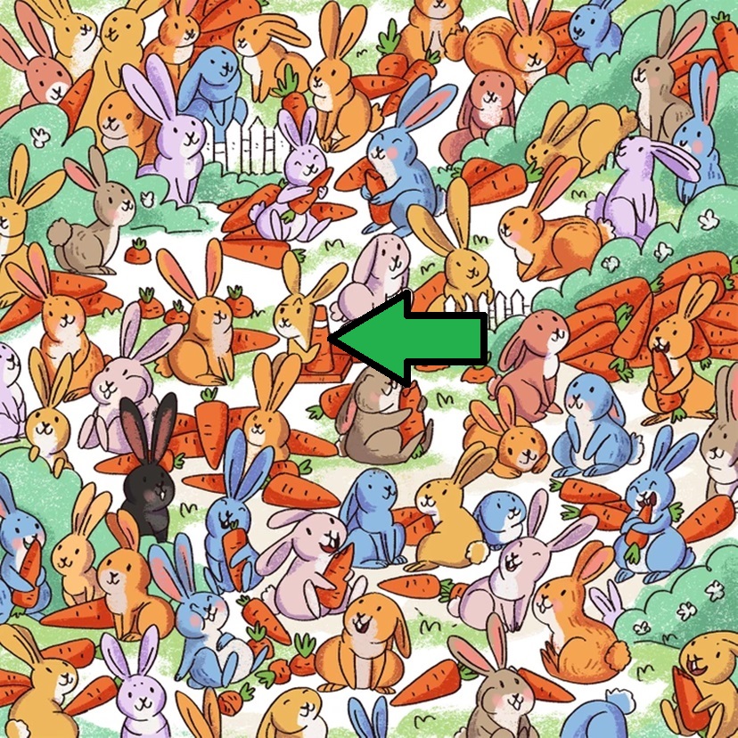 Desafio visual com vários coelhos coloridos cercados por cenouras gigantes e vegetação.