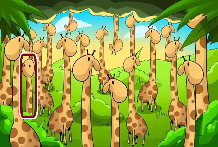 Desenho de girafas em meio à natureza com desafio visual escondido