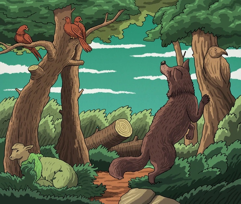 Desafio visual: floresta com lobo, ovelha e animais camuflados escondidos entre árvores e arbustos