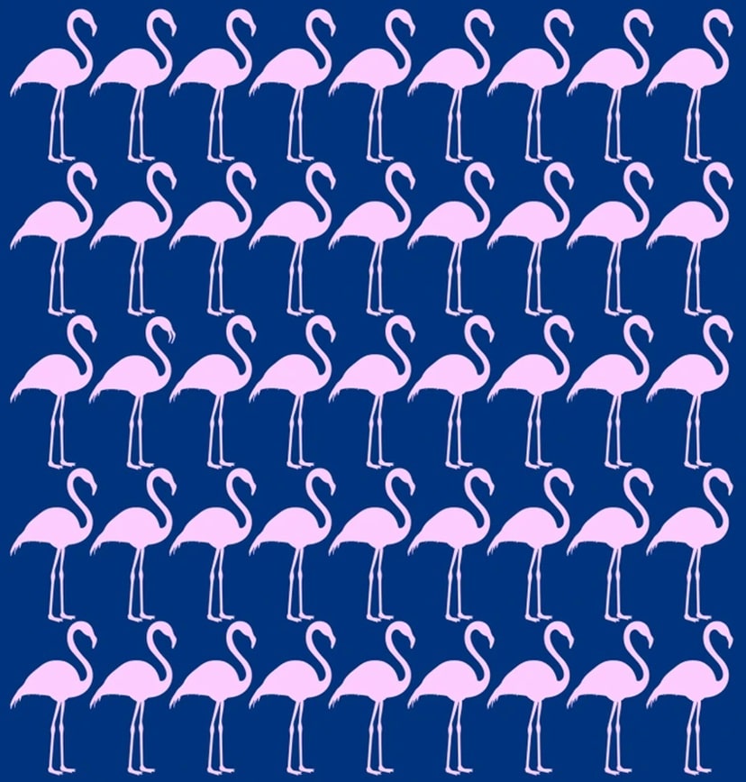 Desafio visual com flamingos cor-de-rosa sobre fundo azul em padrão repetido, com um deles fora do padrão.