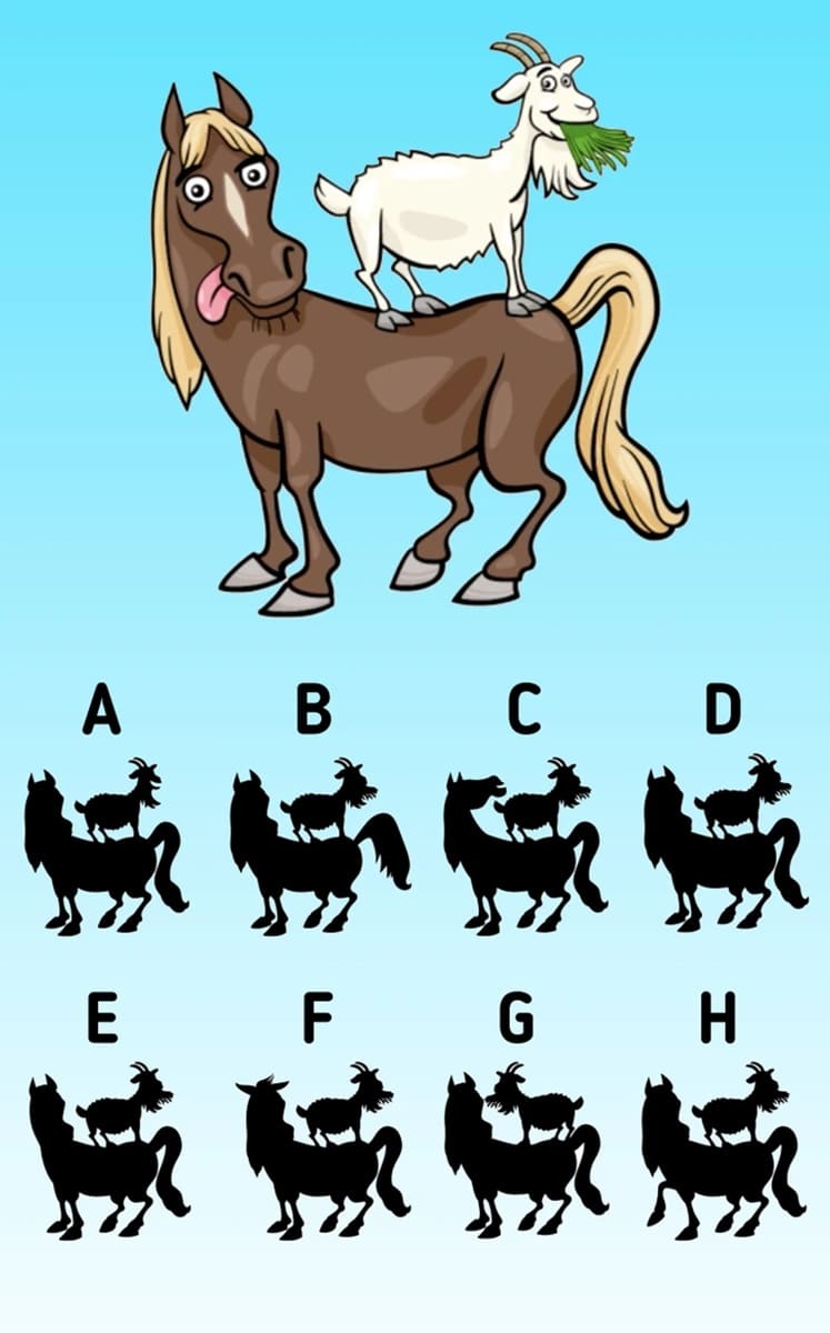 Teste de QI com sombra de cabra e cavalo para identificar a silhueta correta