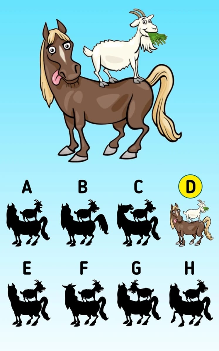 Teste de QI com sombra de cabra e cavalo para identificar a silhueta correta