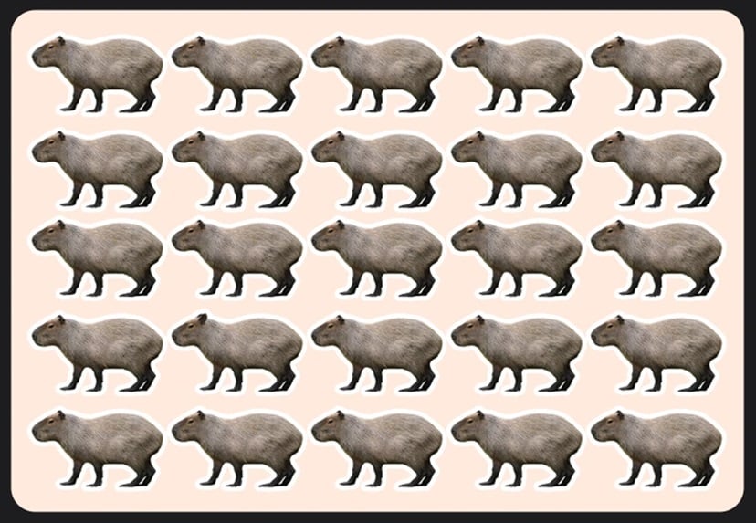 Teste de QI com capivaras enfileiradas em teste visual para encontrar a diferente