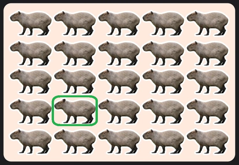 Teste de QI com capivaras enfileiradas em teste visual para encontrar a diferente