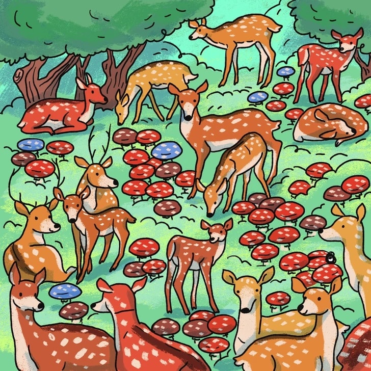 Teste de QI com veados em uma floresta com cogumelos coloridos espalhados pelo chão