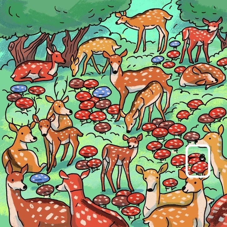 Teste de QI com veados em uma floresta com cogumelos coloridos espalhados pelo chão