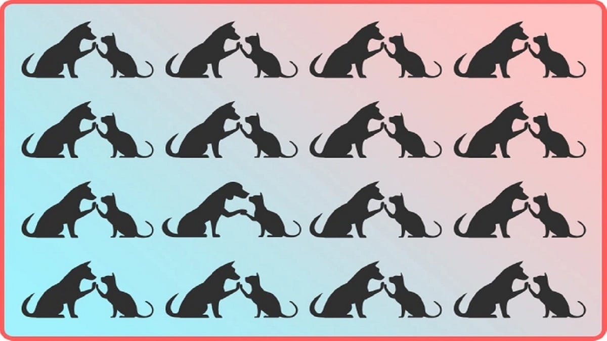 Teste de percepção com múltiplos pares de silhuetas de cães e gatos se tocando, com uma dupla fora do padrão entre as figuras.
