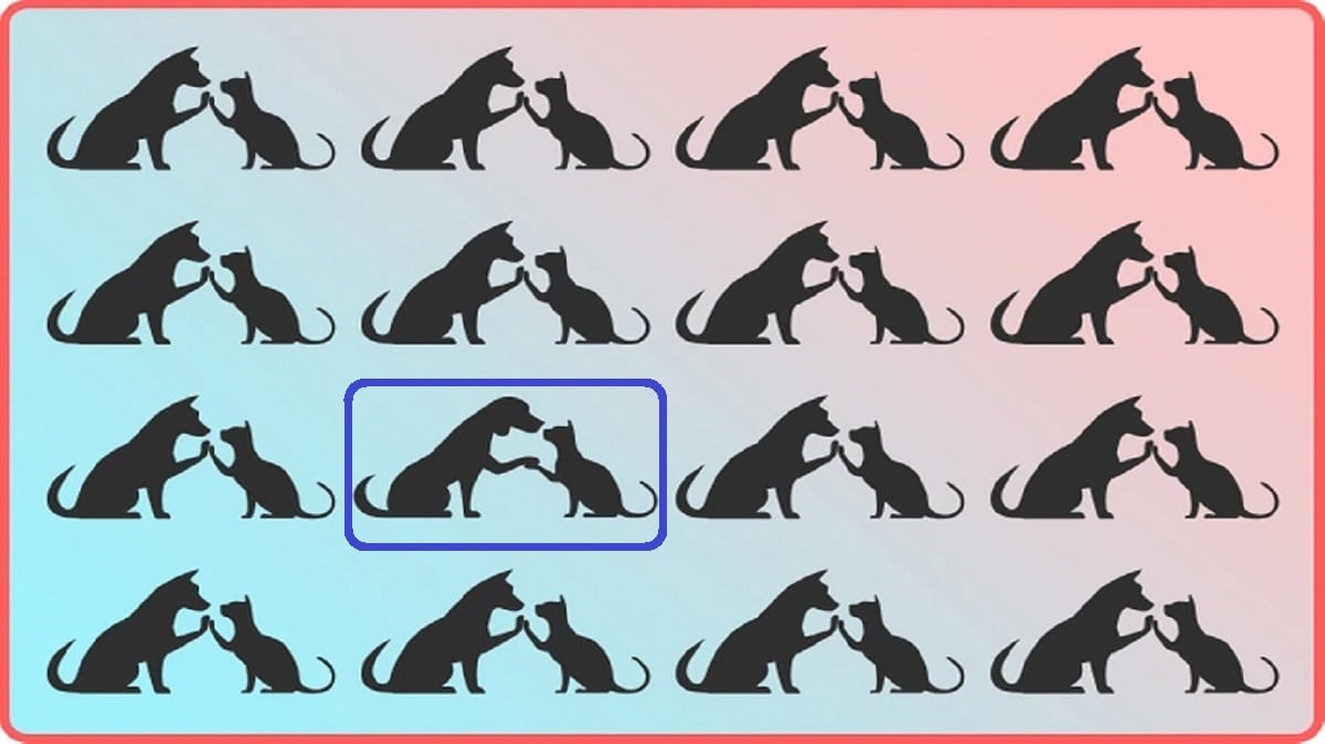 Teste de percepção com múltiplos pares de silhuetas de cães e gatos se tocando, com uma dupla fora do padrão entre as figuras.