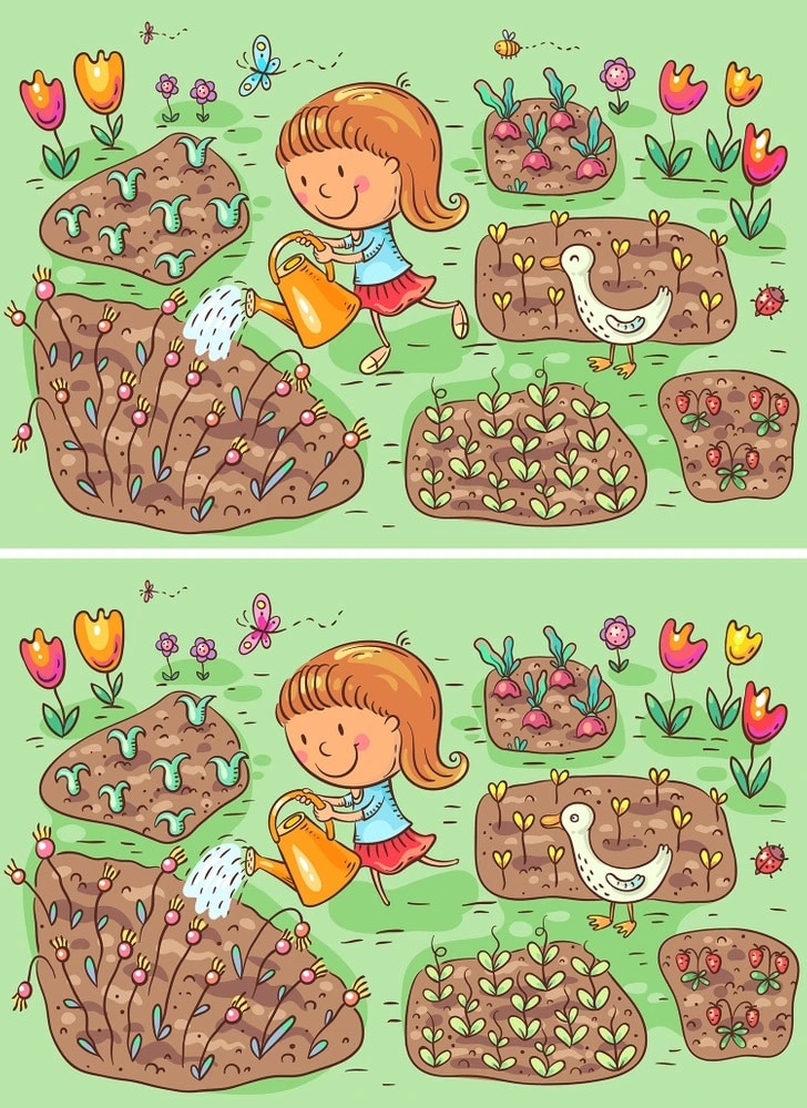 Teste visual com uma garotinha regando flores em uma horta com plantas, flores, pato e insetos.