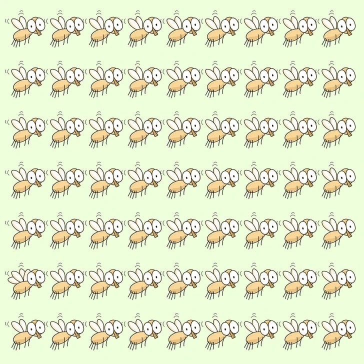 Imagem de várias moscas desenhadas em padrão, uma delas é diferente das demais.