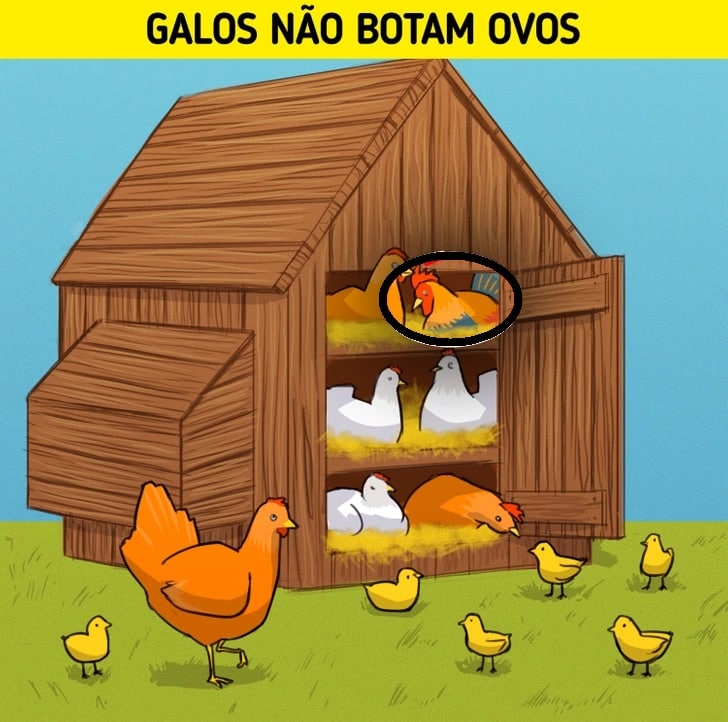 Desafio visual com ilustração de galinheiro de madeira com galinhas, pintinhos e galos ao redor