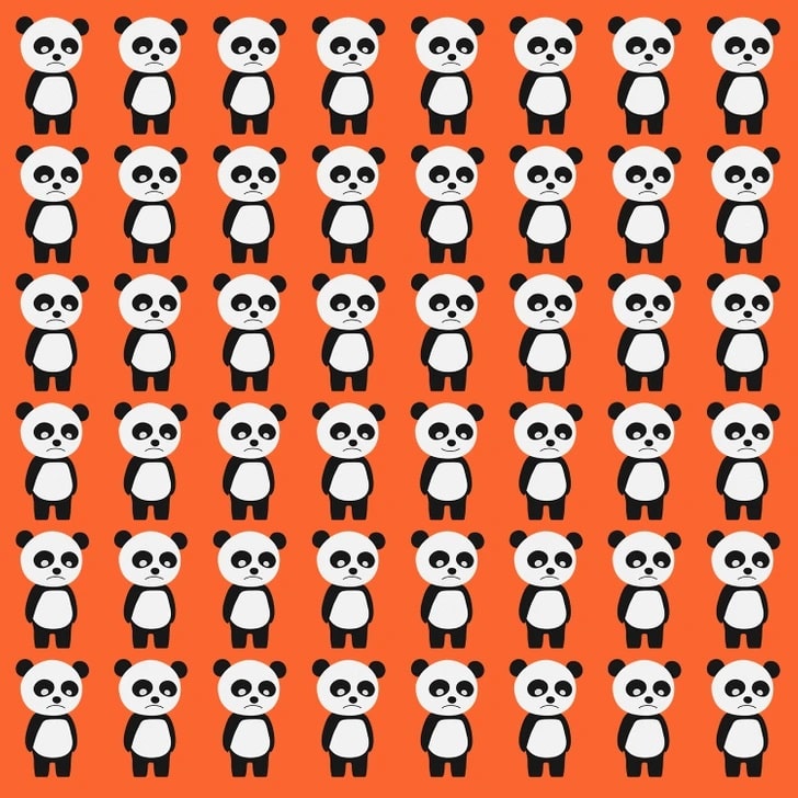 Desafio visual com vários pandas desenhados em padrão repetitivo sobre fundo laranja