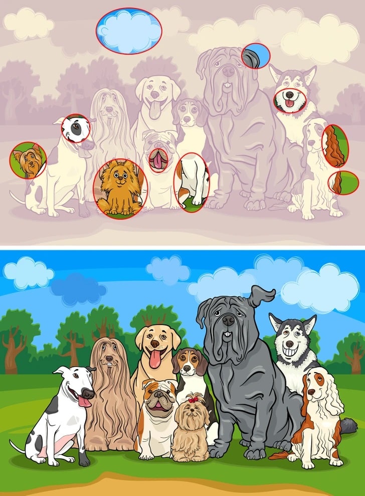 Teste de QI com duas imagens de diferentes raças de cachorros em um parque, lado a lado para jogo de encontrar diferenças.
