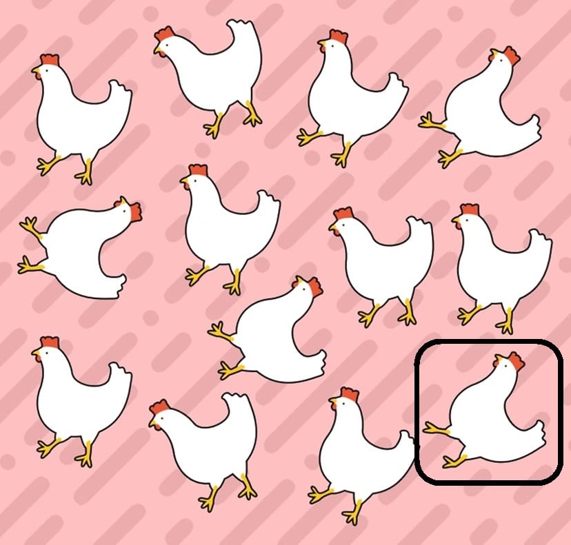 Teste visual com diversas galinhas desenhadas de forma divertida compõem um padrão original sobre fundo rosa, perfeito para usar em artes e designs criativos.