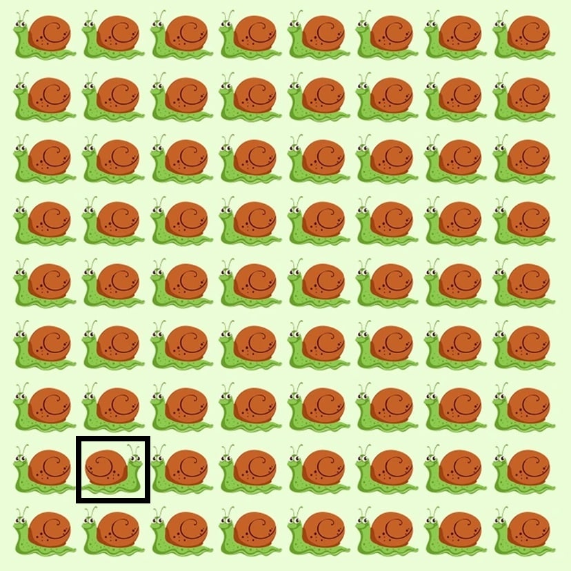 Teste visual com ilustração de vários caracóis verdes com uma única lesma diferente entre eles.