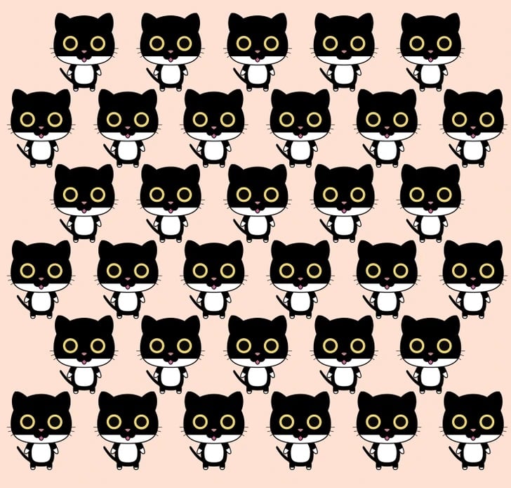 Teste visual com um desenho repetido de gatos estilizados com olhos amarelos sobre fundo rosado
