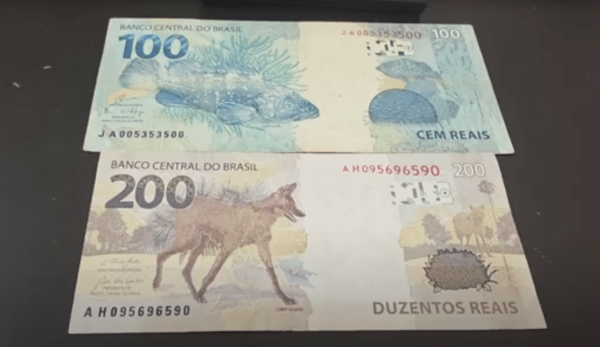Uma nota brasileira de 100 reais com a imagem de uma Garopa sobre uma superfície escura e, abaixo dela, uma nota de 200 reais com a imagem de um Lobo Guará. Ambas estão com o número de série e a data visíveis.