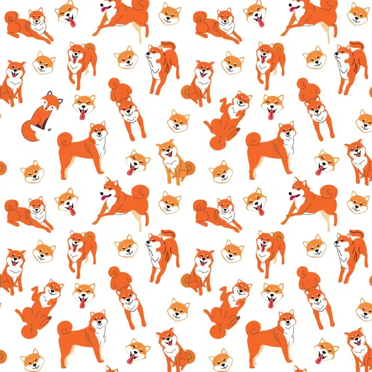 Desafio visual com várias ilustrações de cães Shiba Inu em diferentes poses com fundo branco
