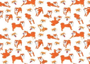 Desafio visual com várias ilustrações de cães Shiba Inu em diferentes poses com fundo branco