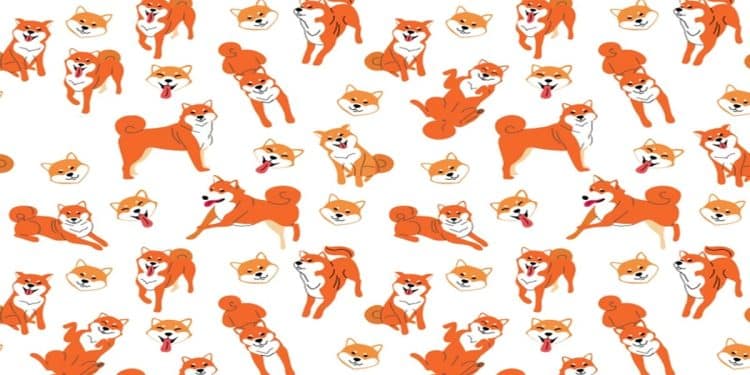 Desafio visual com várias ilustrações de cães Shiba Inu em diferentes poses com fundo branco