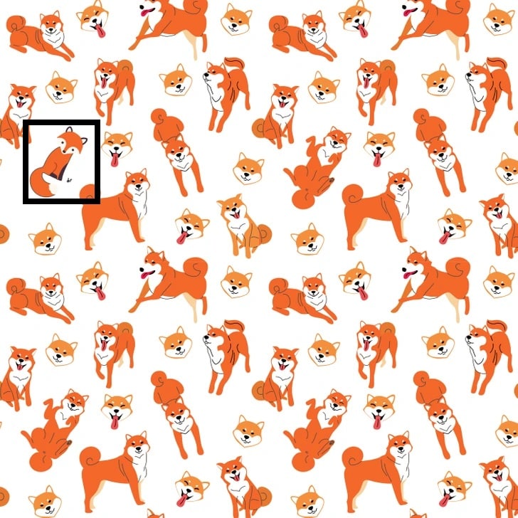 Desafio visual com várias ilustrações de cães Shiba Inu em diferentes poses com fundo branco