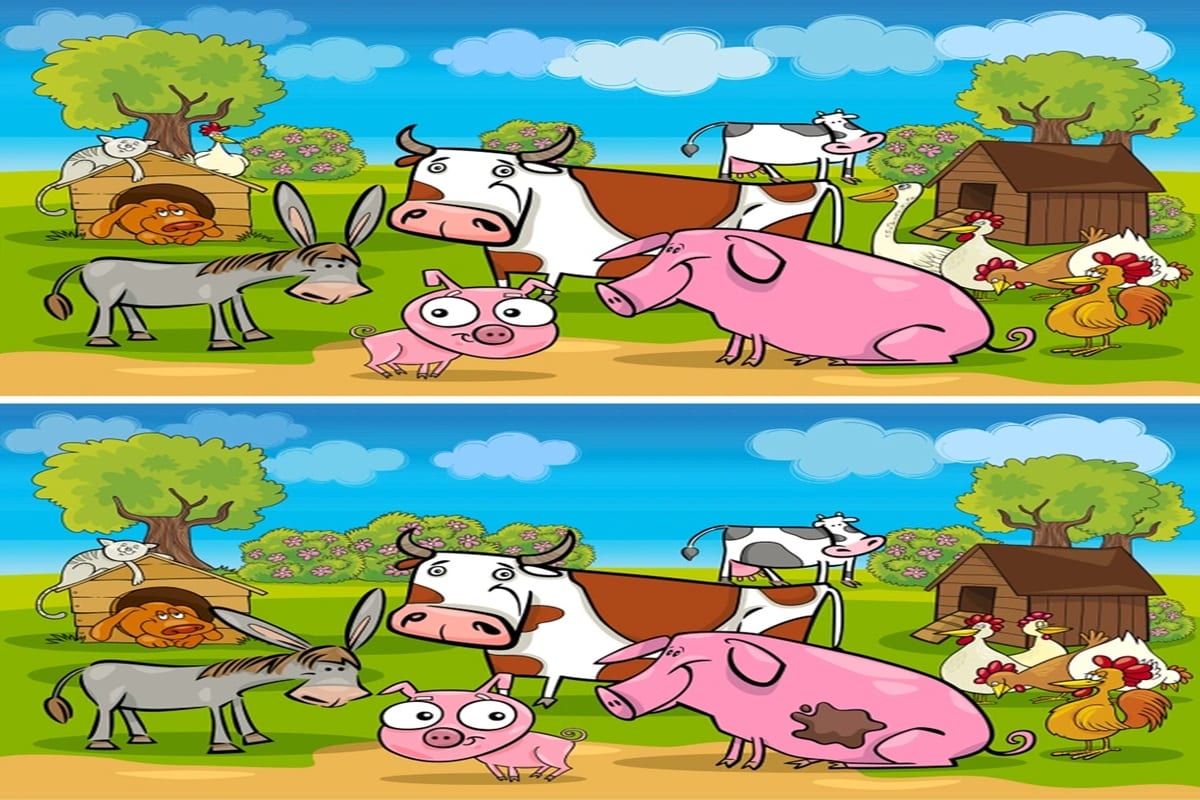 Teste visual com uma ilustração colorida com diversos animais da fazenda como vaca, porco rosa, cavalo, galinhas e cachorro.