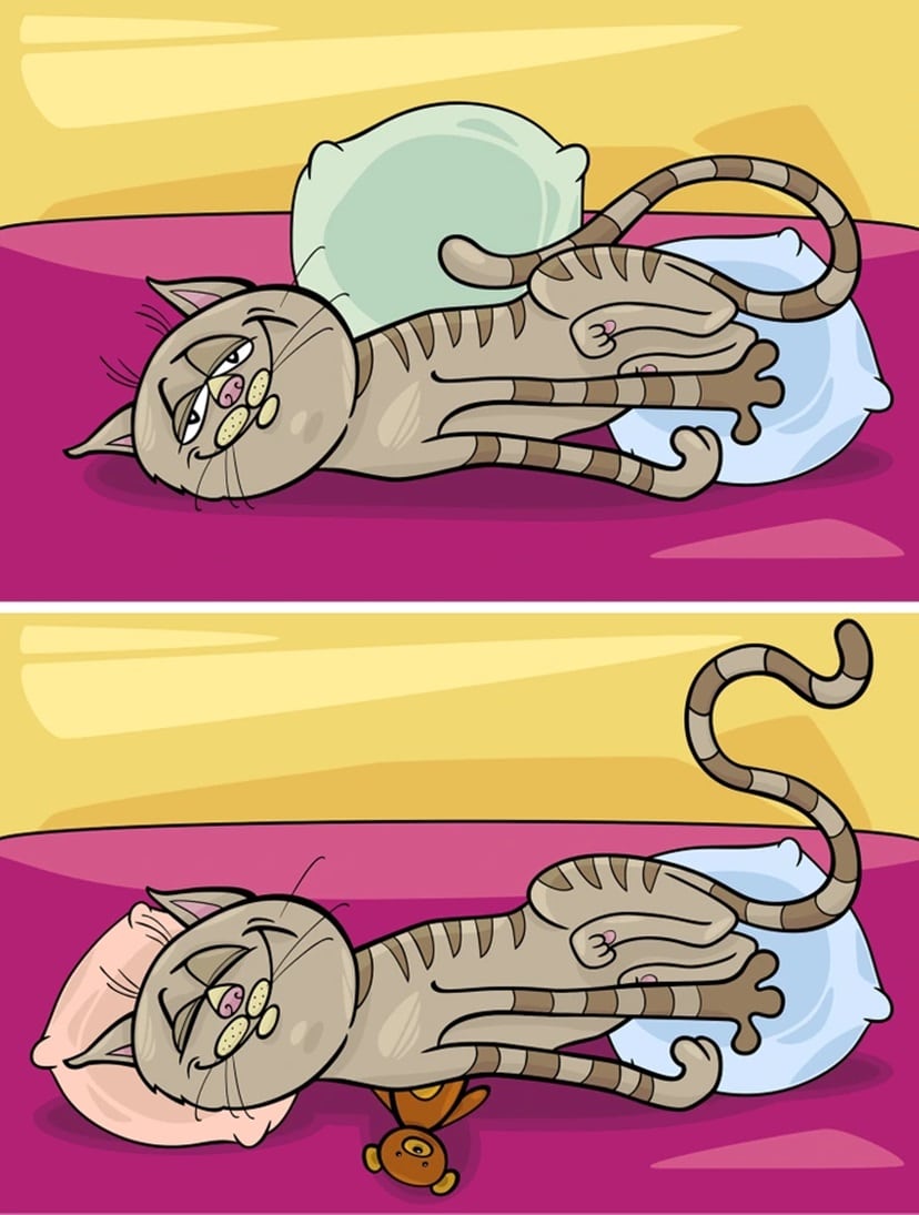 Teste visual com gato cinza com listras deitado sobre almofada verde clara em cama com lençol rosa