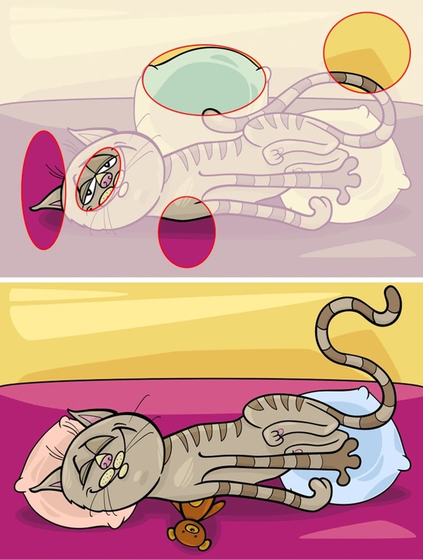 Teste visual com gato cinza com listras deitado sobre almofada verde clara em cama com lençol rosa