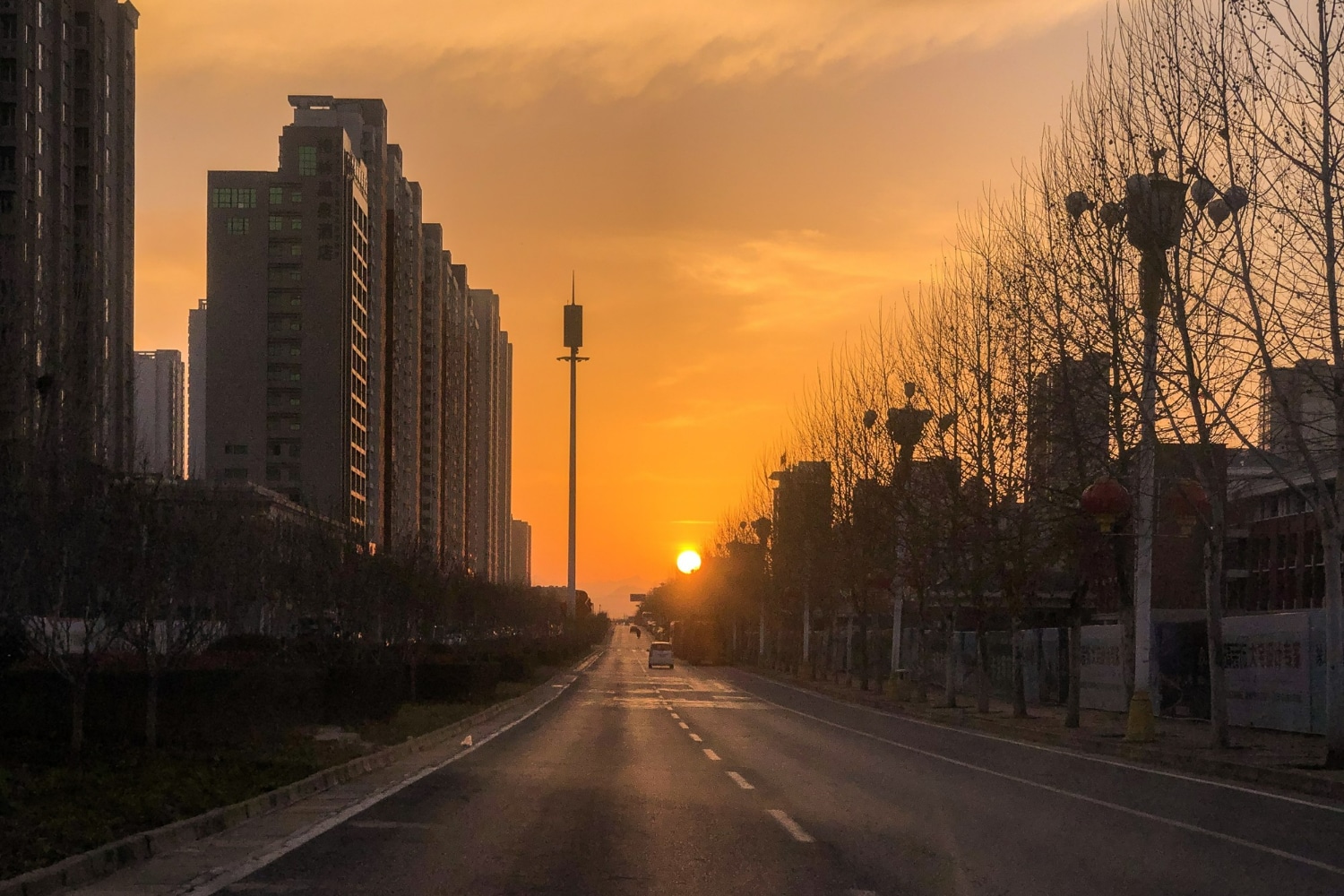 Pôr do sol laranja visto no fim de avenida larga com prédios altos e árvores sem folhas nas laterais.