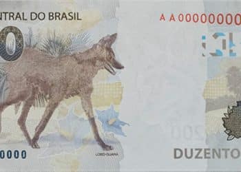 Verso da cédula de 200 reais com o animal Lobo-Guará estampado, representando o mistério da baixa circulação da nota no Brasil.