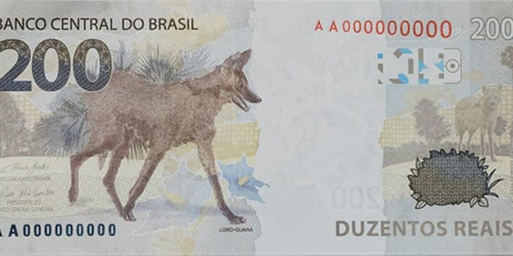 Verso da cédula de 200 reais com o animal Lobo-Guará estampado, representando o mistério da baixa circulação da nota no Brasil.