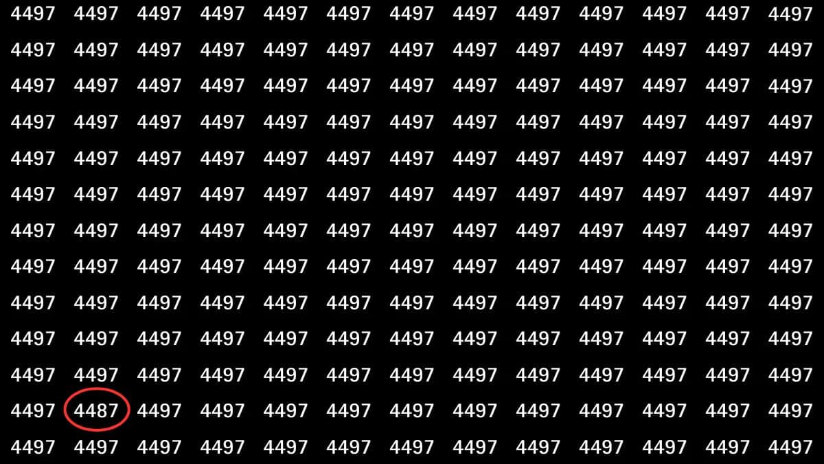 Fundo preto com números "4497" repetidos em linhas e colunas brancas.