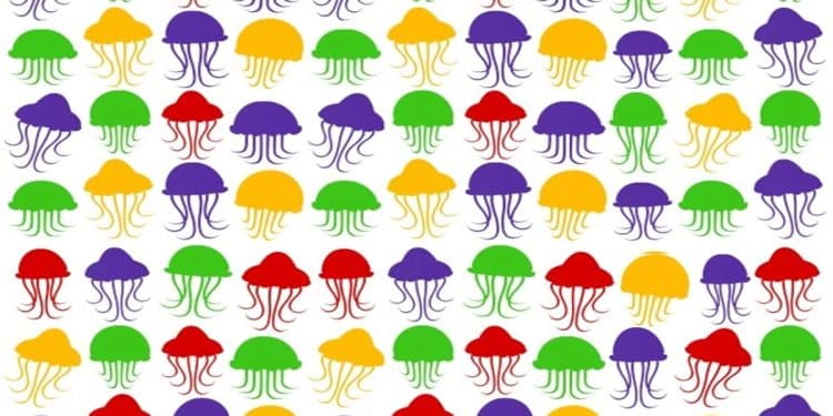 Desafio visual com padrão de ilustrações coloridas de águas-vivas em vermelho, verde, amarelo e roxo.