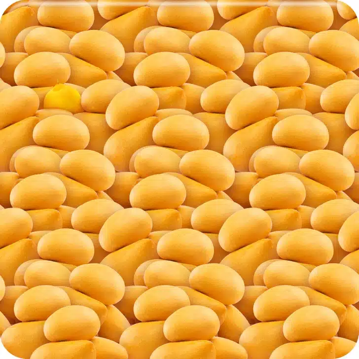 Desafio Visual com muitas batatas amarelas pequenas e ovais empilhadas lado a lado formando uma superfície contínua