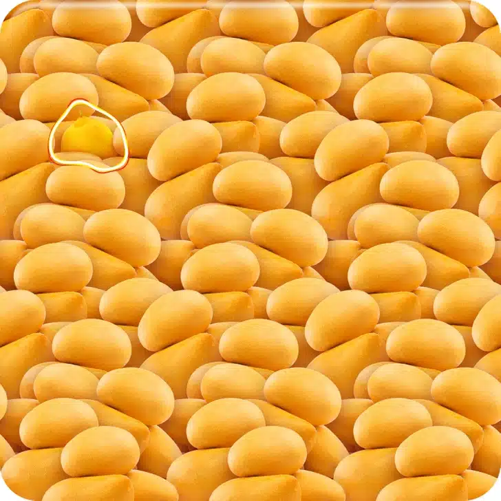 Desafio Visual com muitas batatas amarelas pequenas e ovais empilhadas lado a lado formando uma superfície contínua
