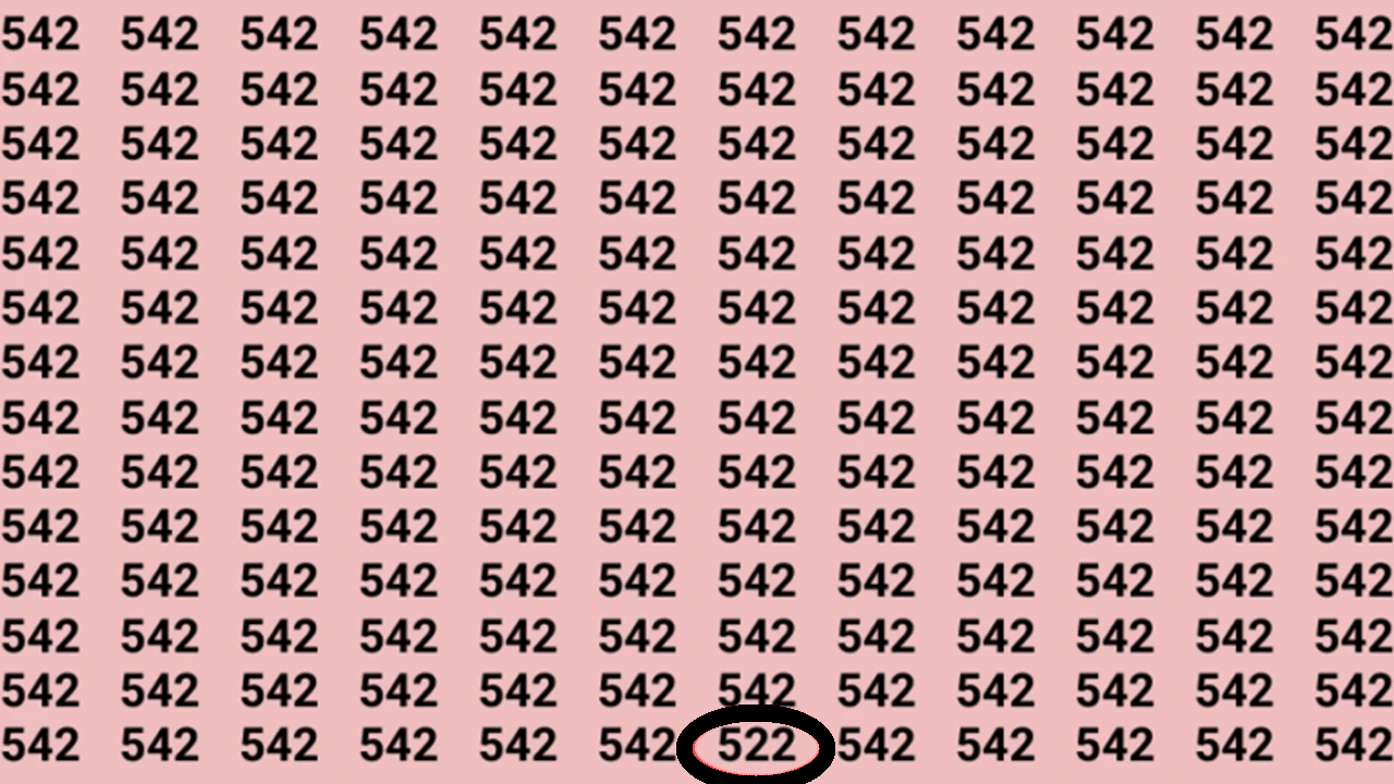 Número 542 repetido várias vezes sobre fundo rosa claro.